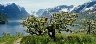 Norwegian fjords. 
Photo: C H / Innovation Norway.